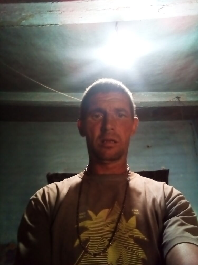  37168735  , 43 ,    
