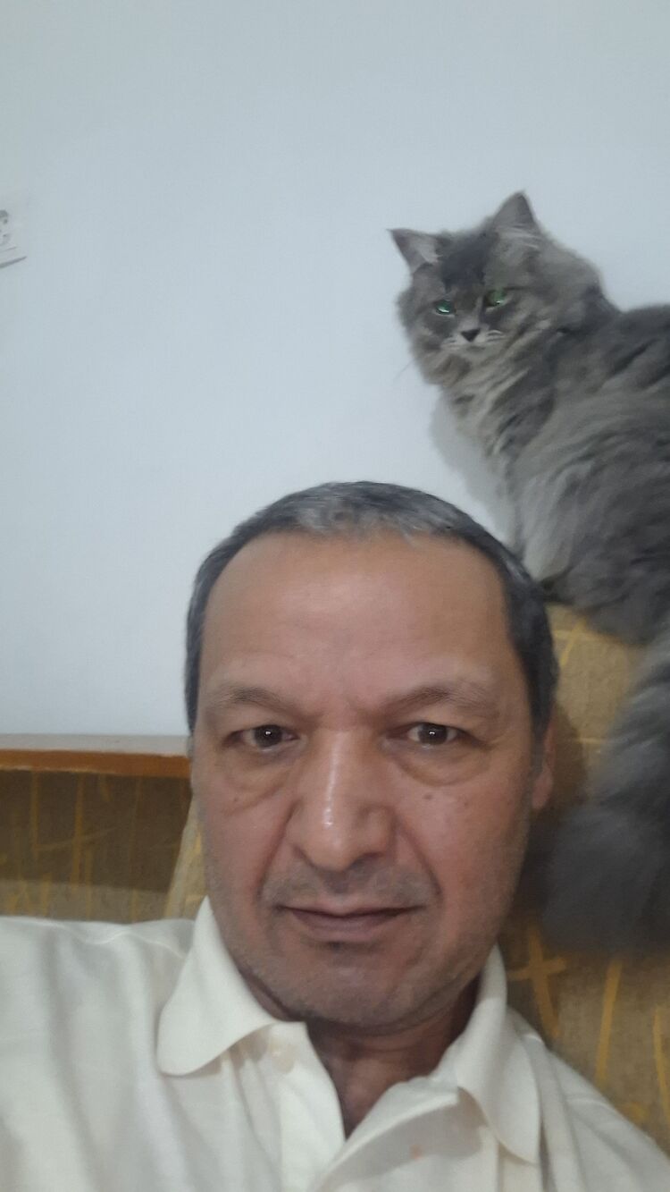 ���� 54846885 ������� ���, 54 ����, ���� ���������� � ��������