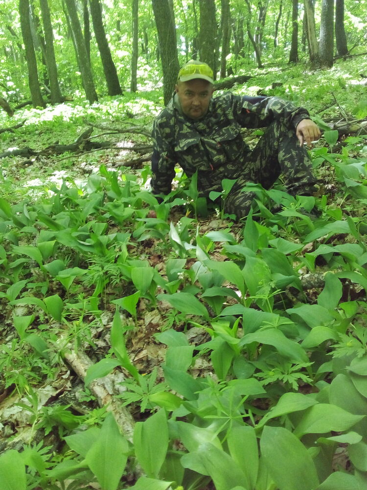 ���������� �������, ���� ������� �������, 48 ���, ������������ ��� ������, ����� � ���������