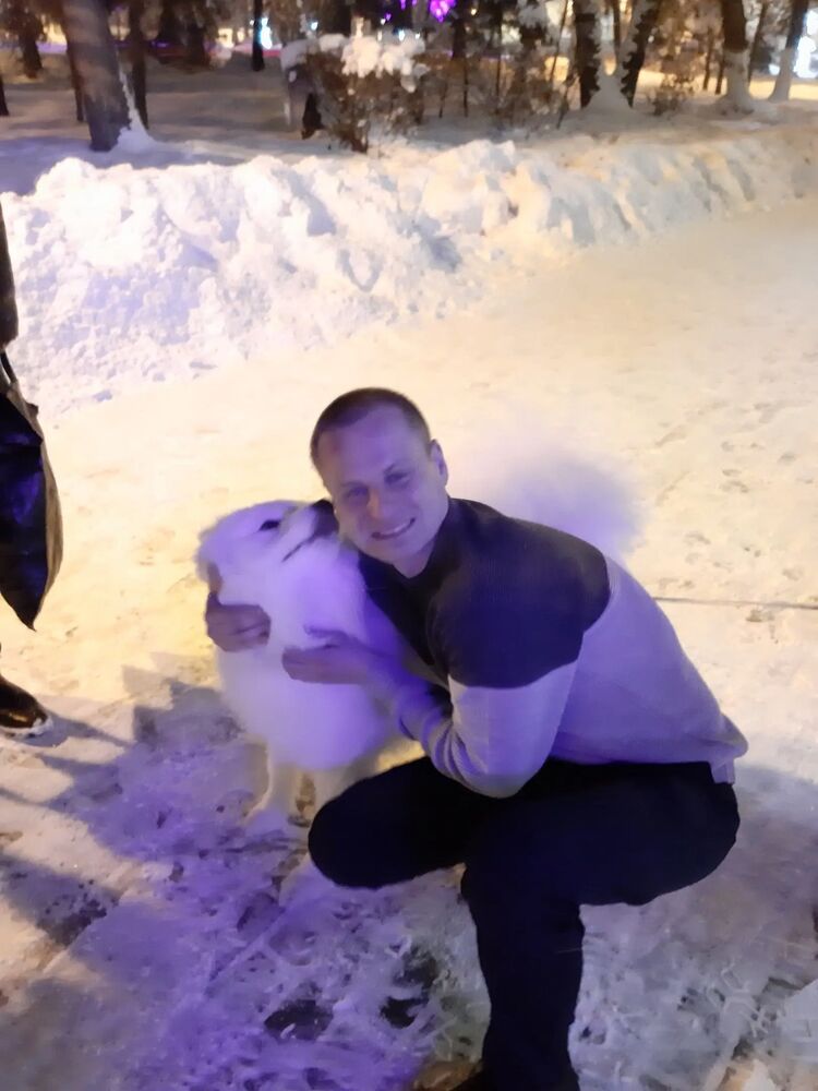 ���������� ������, ���� ������� ������, 38 ���, ������������ ��� ������, ����� � ���������