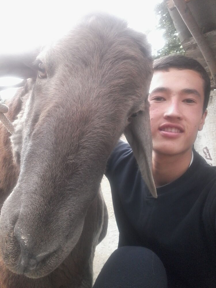  ,   Amar, 30 ,   ,   , c 