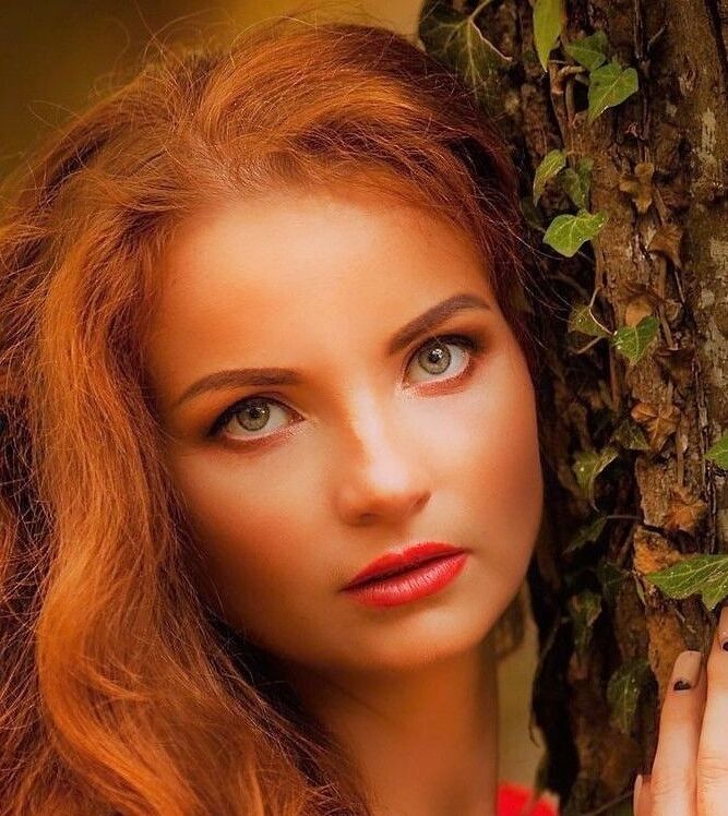 ���� 55312385 ������� �����, 29 ���, ���� ���������� � ������