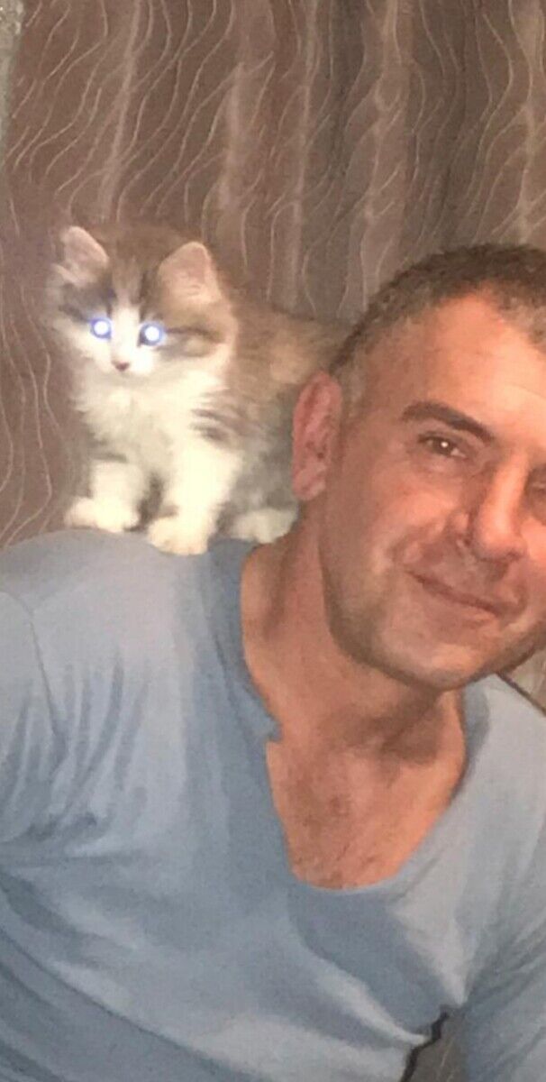 ���� 22385605 ������� �������, 49 ���, ���� ���������� � ��������������-����������