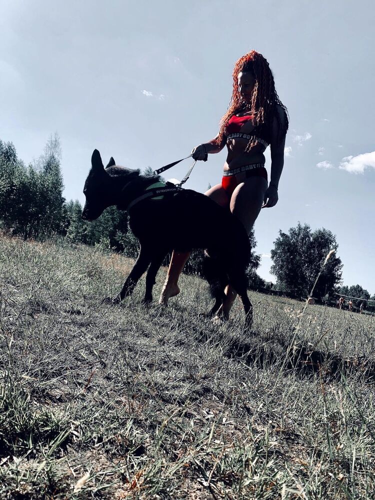 ���������� �������, ���� ������� Catalina, 35 ���, ������������ ��� ������, ���������