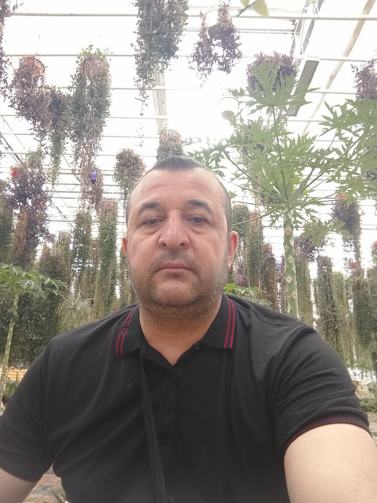 ���� 55800225 ������� �����, 47 ���, ���� ���������� � ������