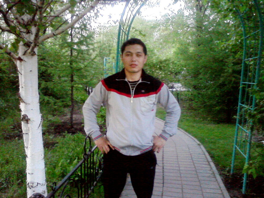  -,   , 40 ,  