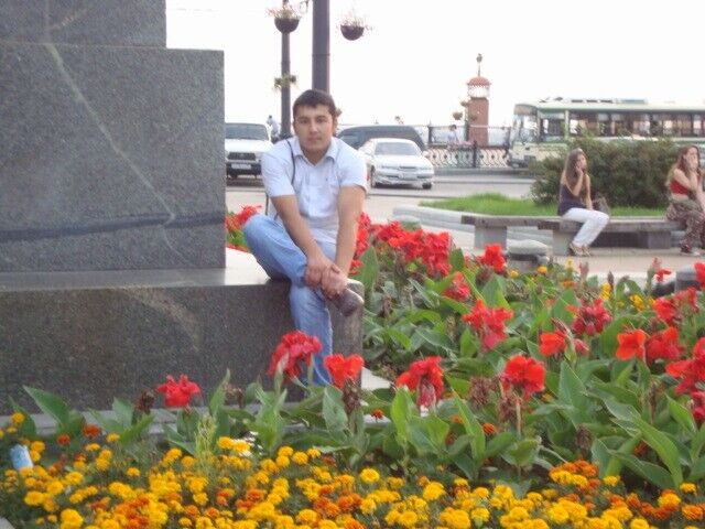  ,   Mirza, 37 ,   ,   