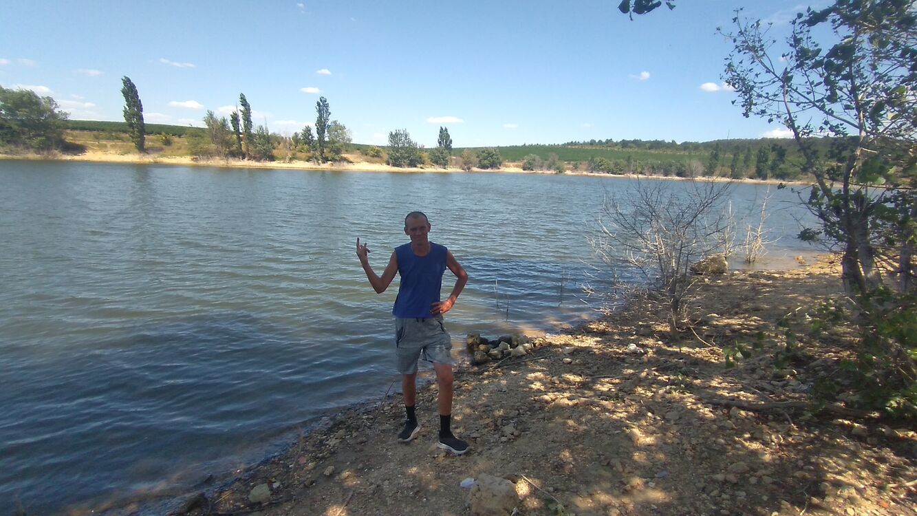 ���������� �����������, ���� ������� ���������, 40 ���, ������������ ��� c�������� ���������