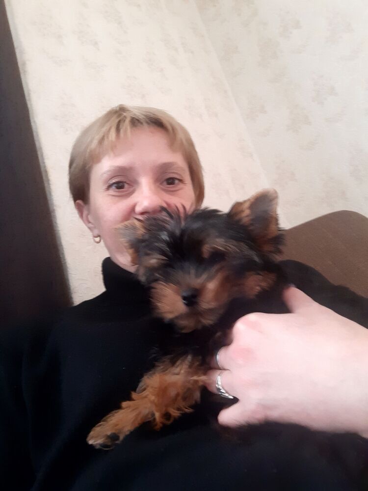  -,   Anyuta, 43 ,     , c 