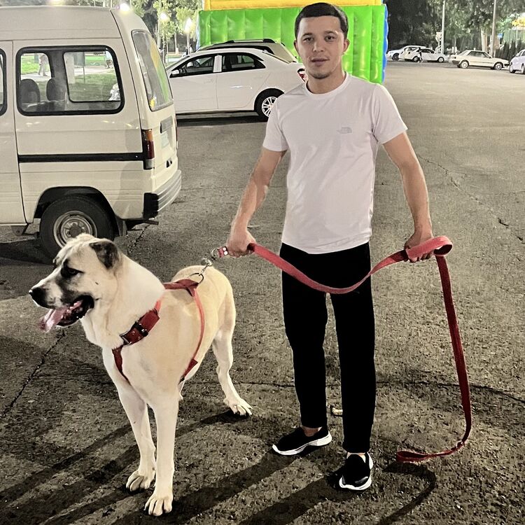 ���������� �������, ���� ������� Azimov, 28 ���, ������������ ��� ������, ����� � ���������