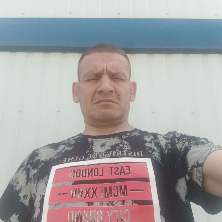  34160635  , 44 ,    
