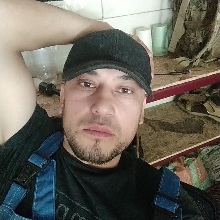  46689045  , 37 ,    