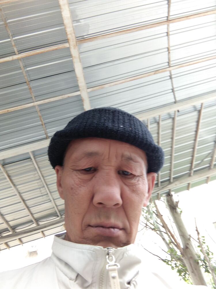  26652055  , 58 ,    
