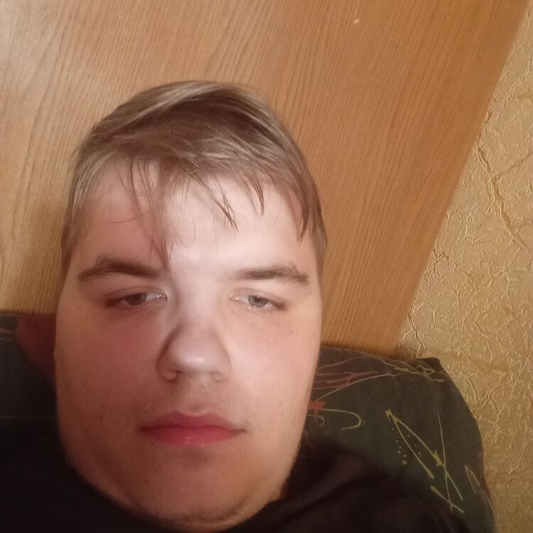  47155365  , 40 ,    