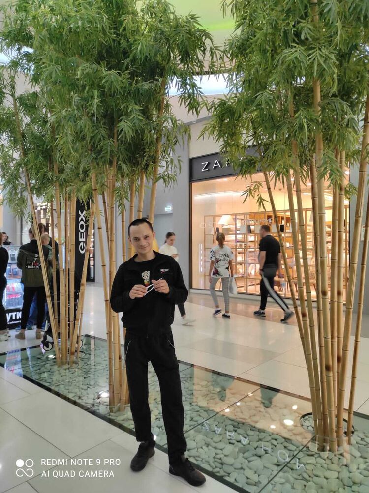 ���������� ���������, ���� ������� ������, 38 ���, ������������ ��� ������, ����� � ���������