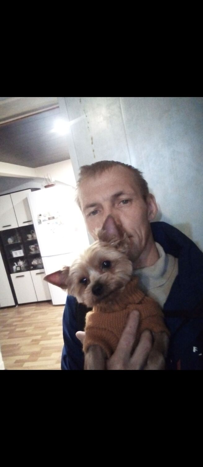 ���������� �������, ���� ������� �������, 47 ���, ������������ ��� ����� � ���������, c�������� ���������