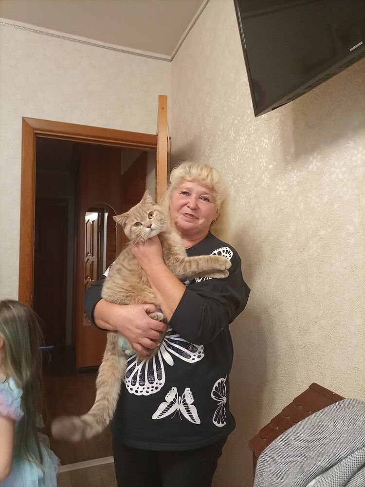 ���� 55560235 ������� ��������, 62 ����, ���� ���������� � ����������