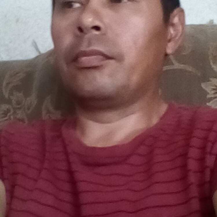 ���� 21385895 ������� �����, 48 ���, ���� ���������� � ���