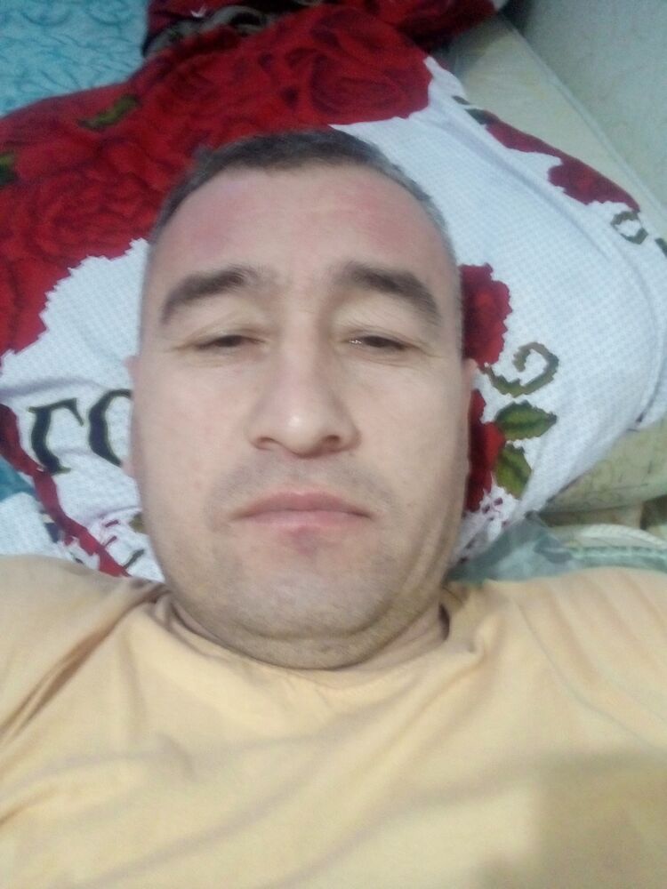  40830815  , 41 ,    