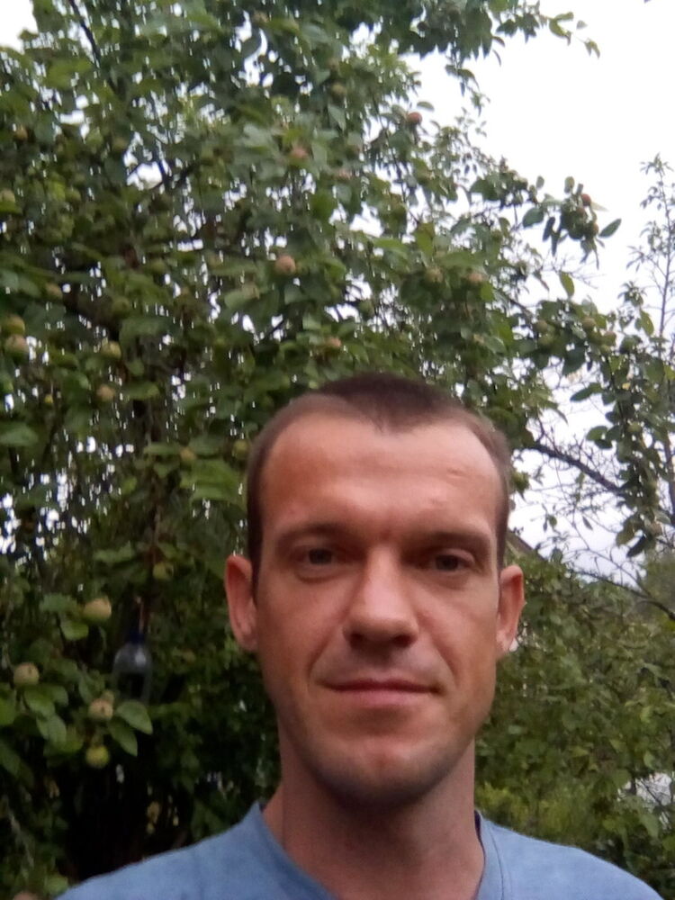  18558385  , 41 ,    