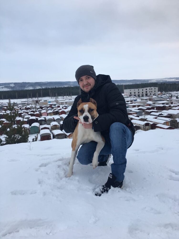 ���������� �����, ���� ������� �������, 33 ����, ������������ ��� ������, ����� � ���������