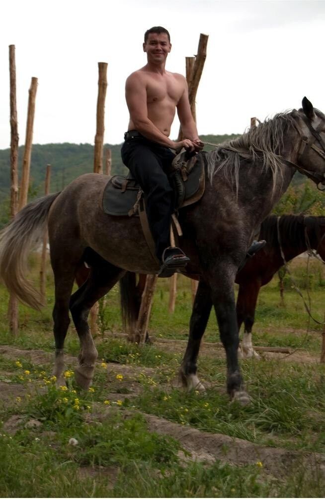 ���� 17532695 ������� ������, 39 ���, ���� ���������� � ����������