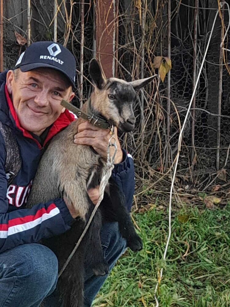 ���������� �����, ���� ������� ����, 52 ����, ������������ ��� ������, ����� � ���������