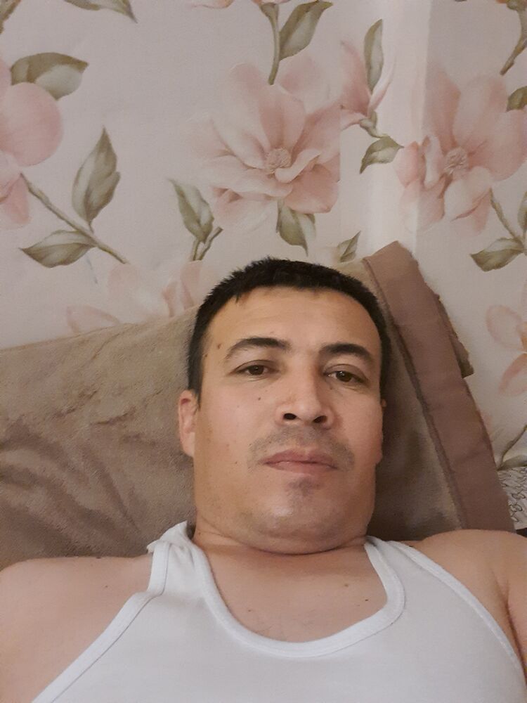  33750445  , 42 ,    
