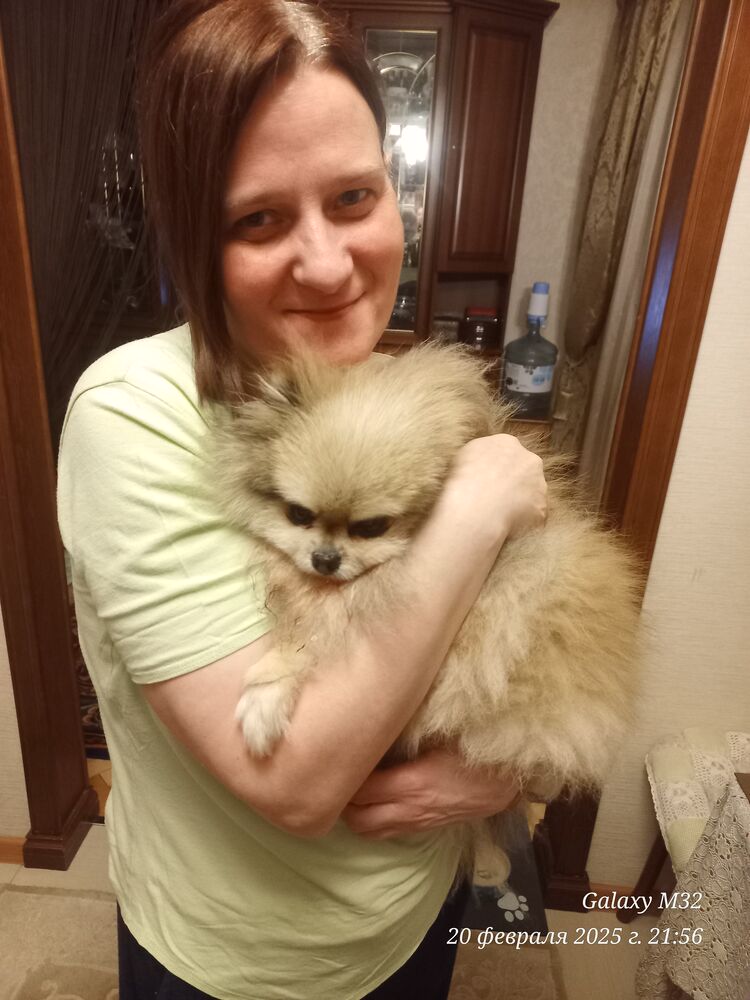 ���� 55815015 ������� ��������, 45 ���, ���� ���������� � ������