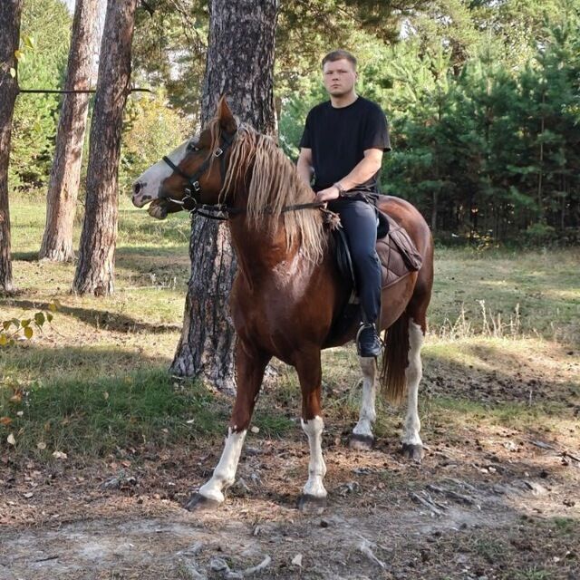 ���������� ���������, ���� ������� ������, 27 ���, ������������ ��� ������, ����� � ���������