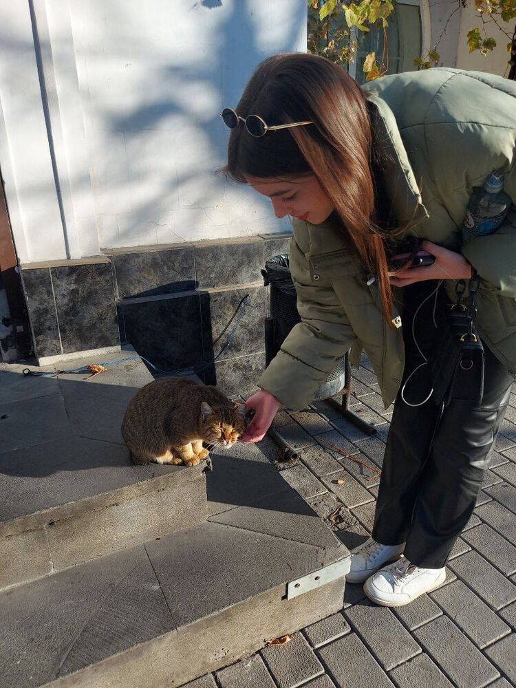 ���������� �����������, ���� ������� ���������, 23 ����, ������������ ��� ������, ����� � ���������