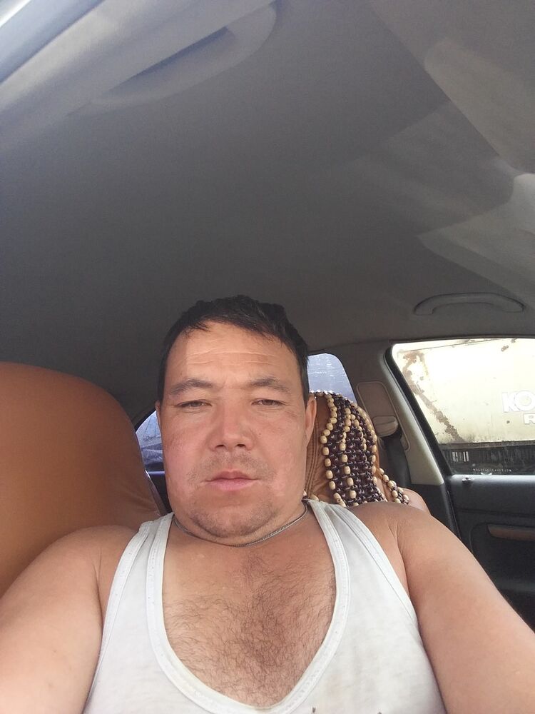  9761535  , 42 ,    