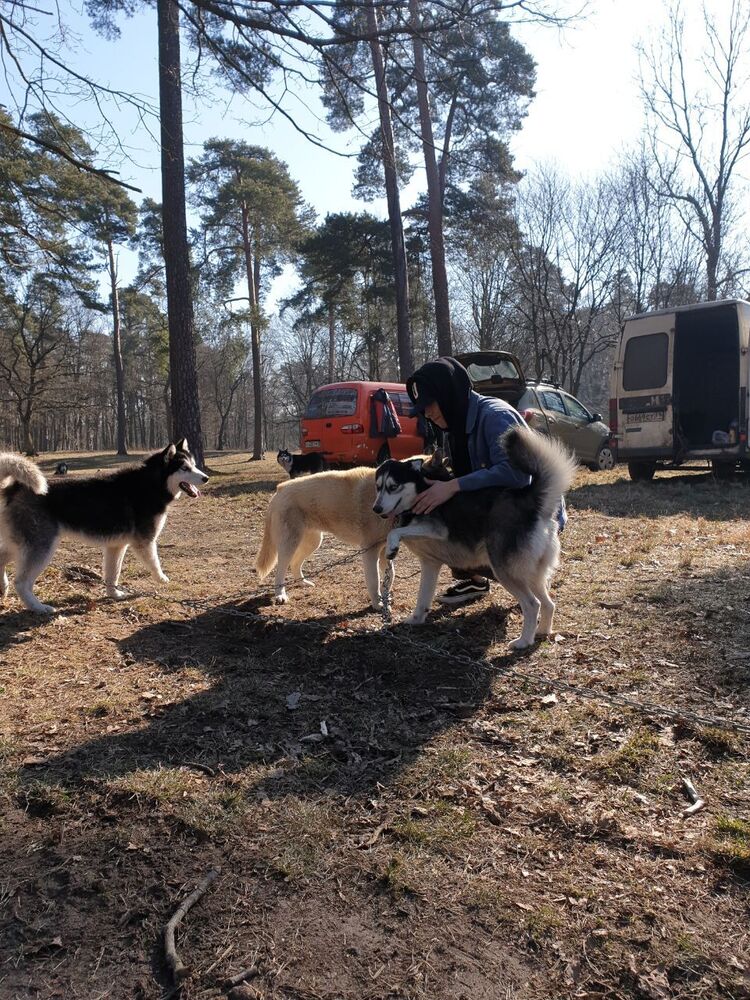 ���� 30890905 ����� ������, 24 ����, ���� ���������� � ������������