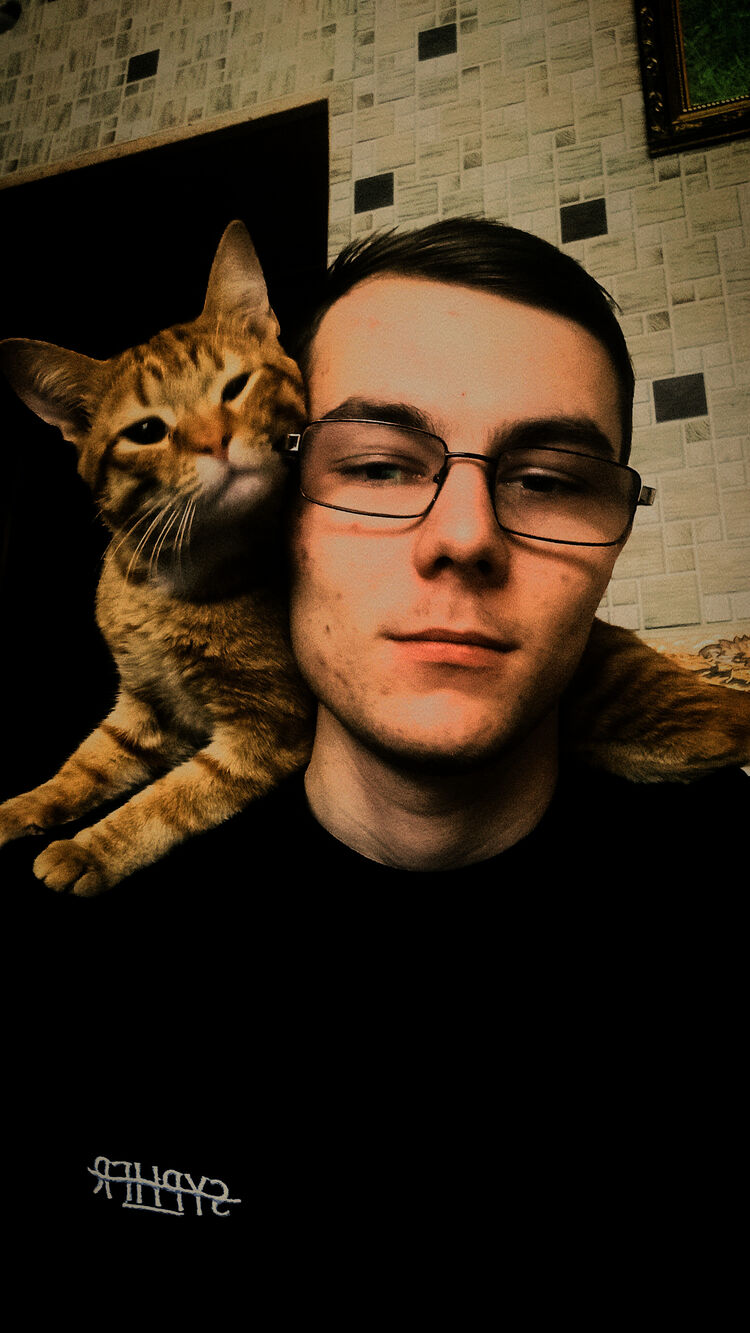 ���������� ��������, ���� ����� �������, 22 ����, ������������ ��� ������, ����� � ���������