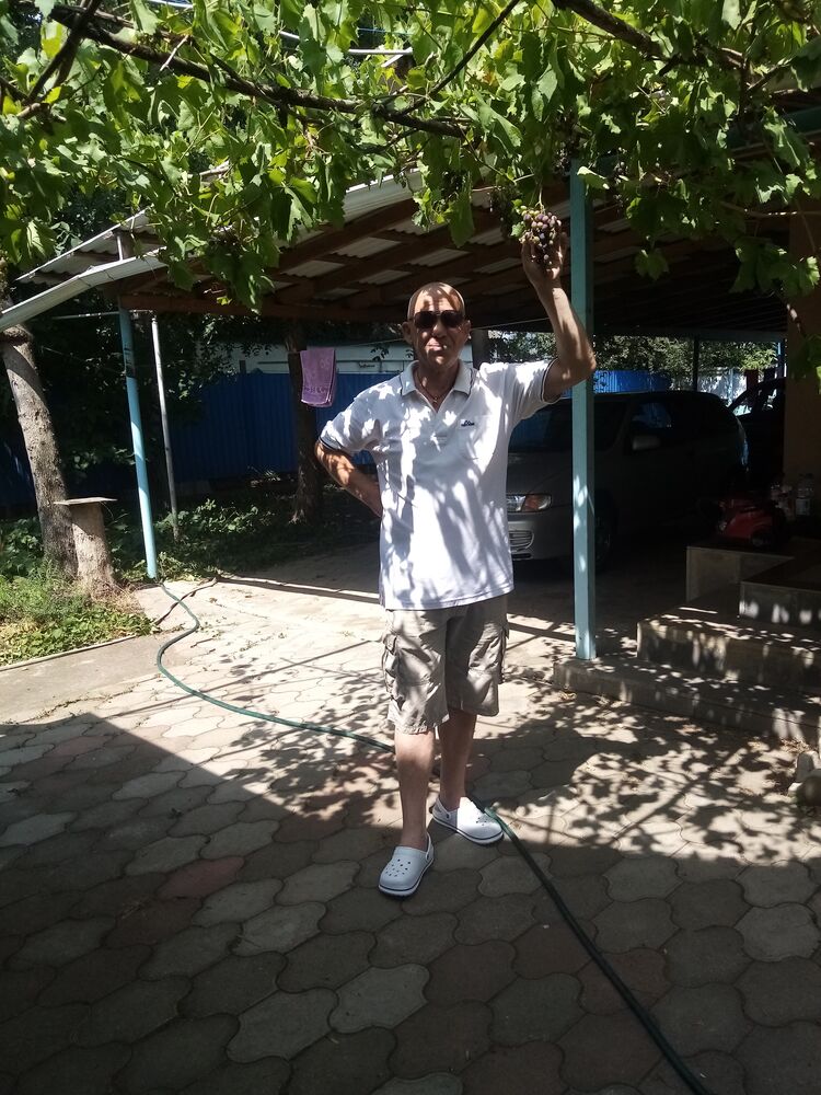  44448425  , 50 ,    