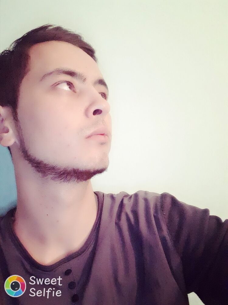  ,   Maksimilian, 32 ,   ,   , c , 