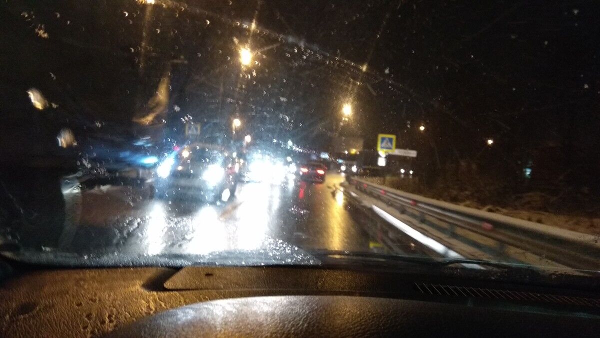 ���� 11019295 ������� ������, 33 ����, ���� ���������� � ��������