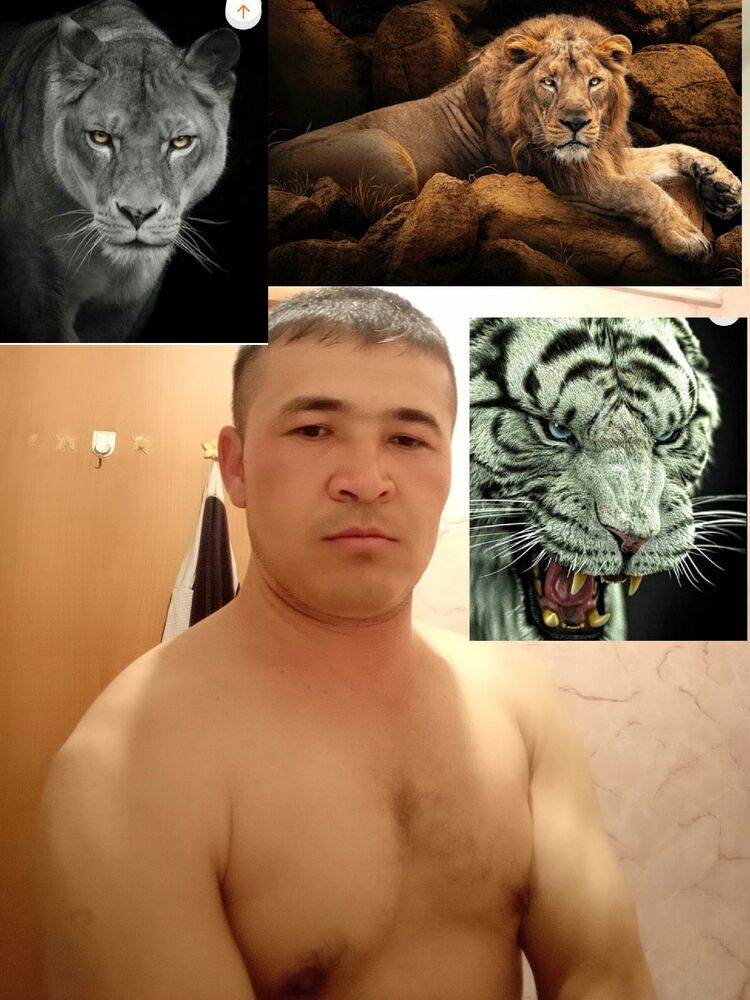 ���������� ���������, ���� ������� �����, 37 ���, ������������ ��� ������, ����� � ���������, c�������� ���������