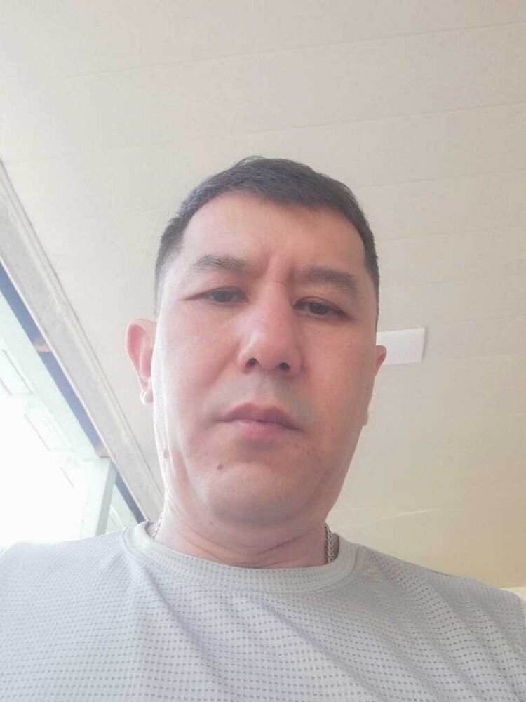  53534105  , 41 ,    