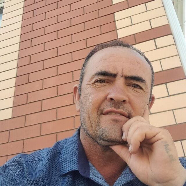 ���� 33478175 ������� ������, 49 ���, ���� ���������� � ����������