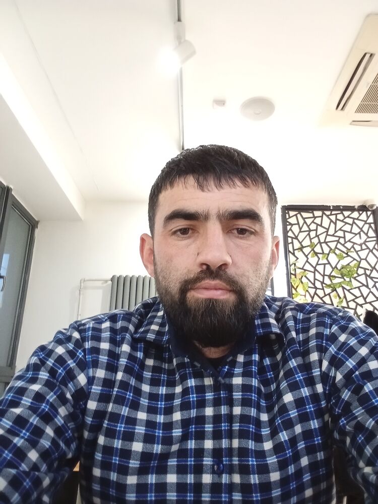  40850405  , 38 ,    