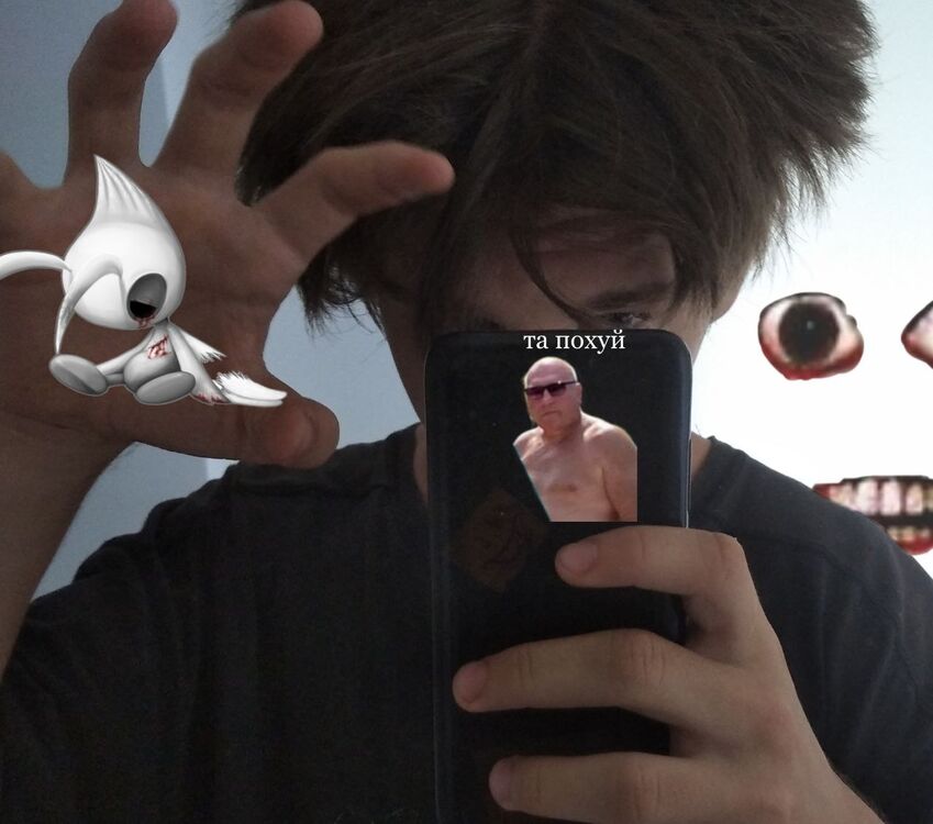  28648835  , 23 ,    