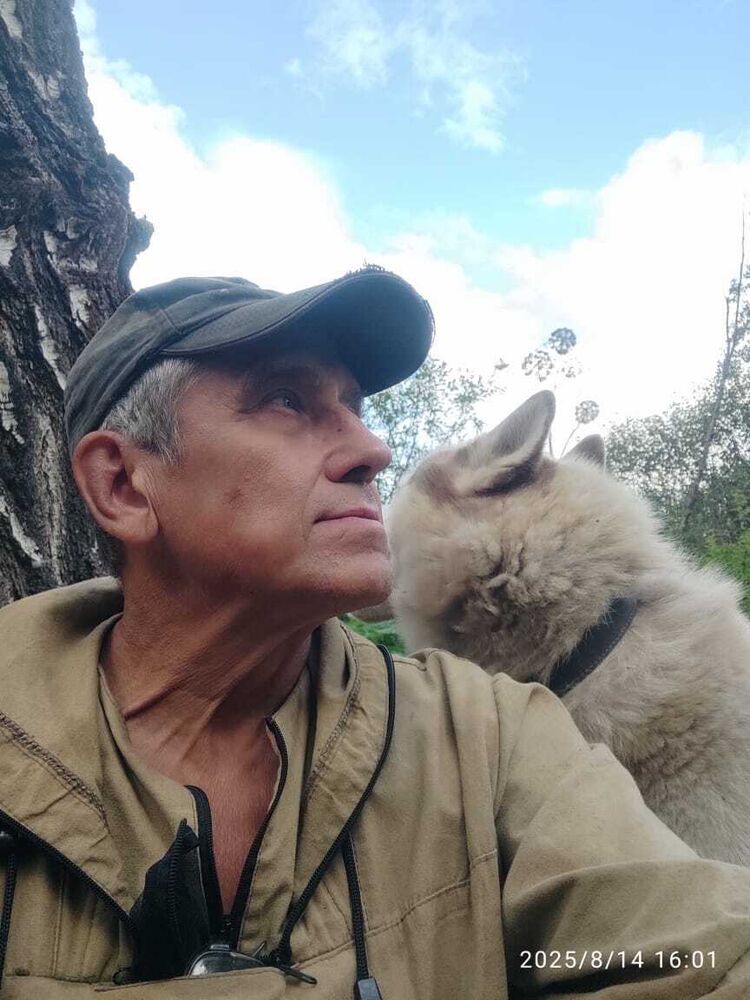 ���� 55790035 ������� ������, 64 ����, ���� ���������� � �������