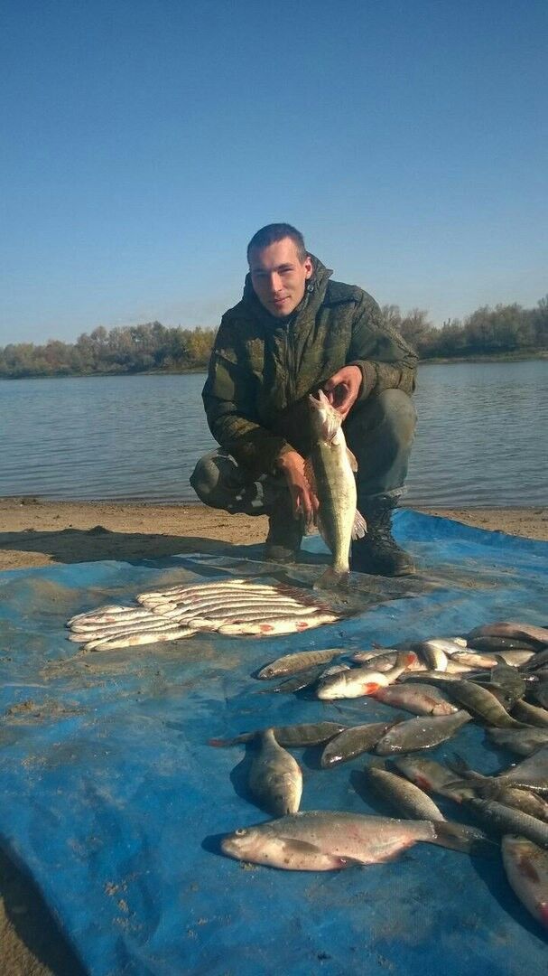 ���� 10057185 ������� �����, 33 ����, ���� ���������� � �����