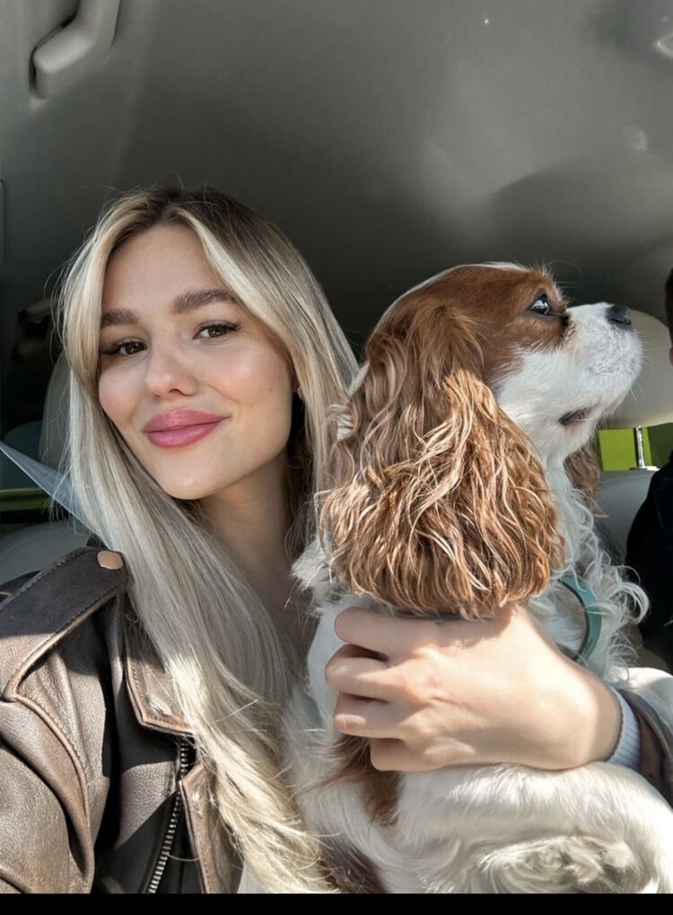  --,   , 33 ,   ,   