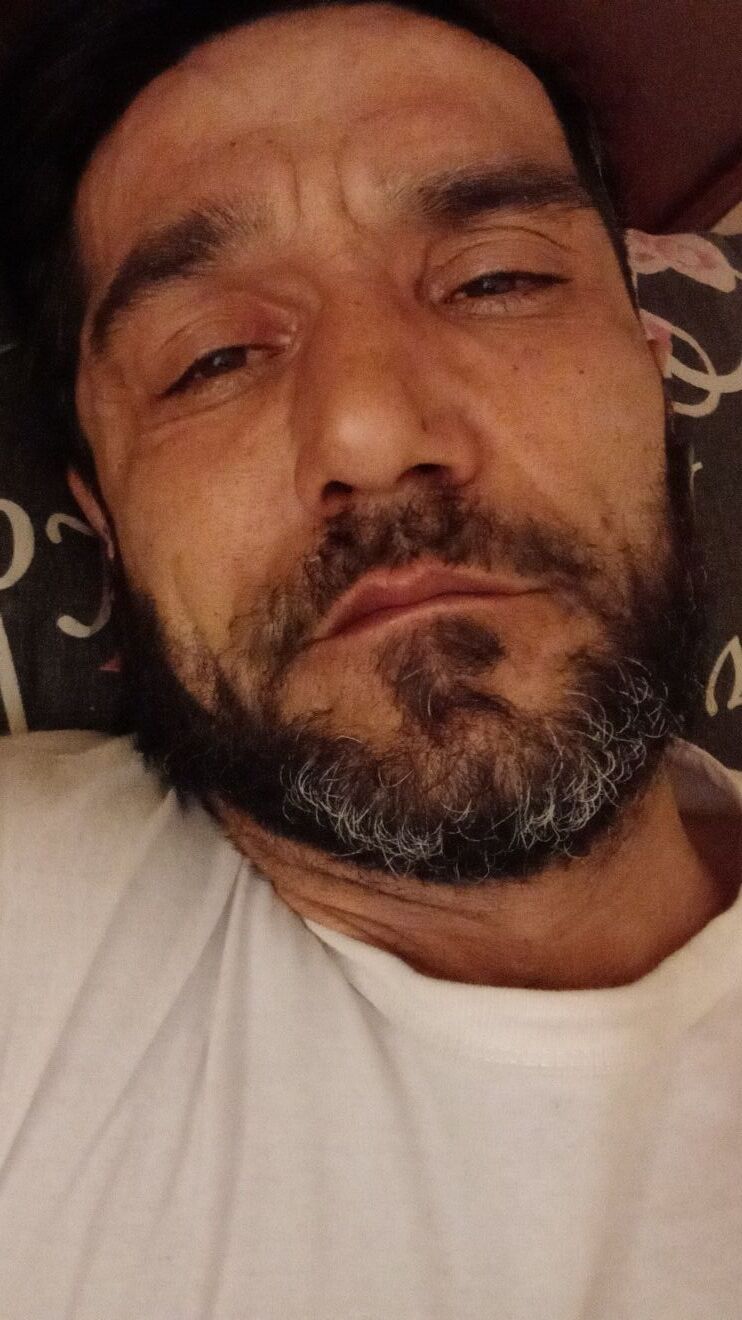  49731525  , 40 ,    