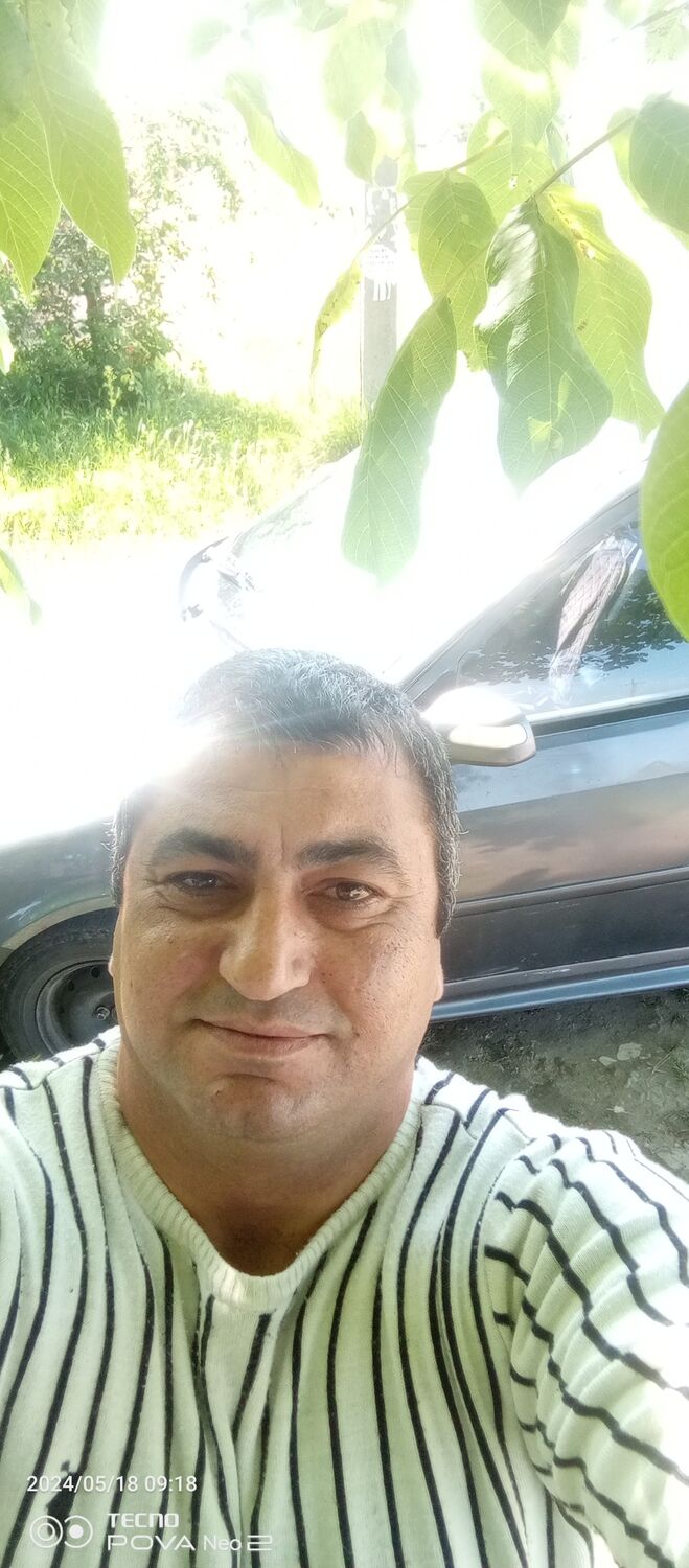  43264605  , 41 ,    