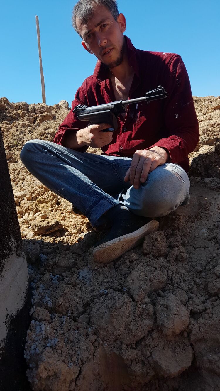  37315835  , 36 ,    