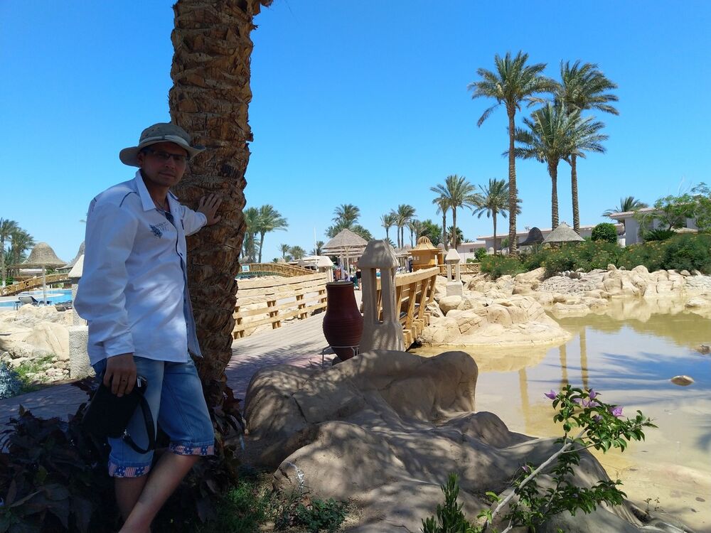 ���������� ����, ���� ������� ������, 38 ���, ������������ ��� ������, ����� � ���������, c�������� ���������