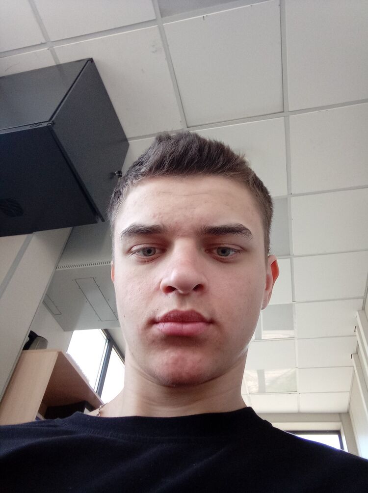  33938035  , 22 ,    